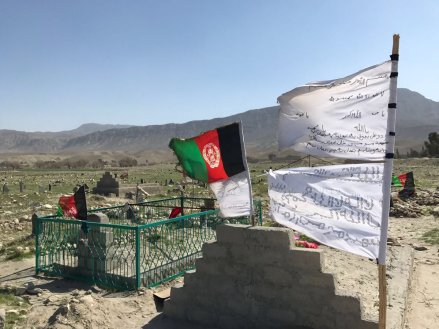 taliban grave